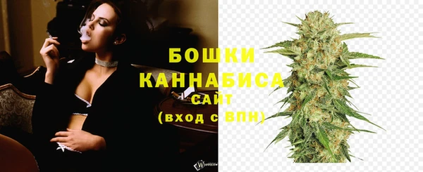 соль ск Арсеньев