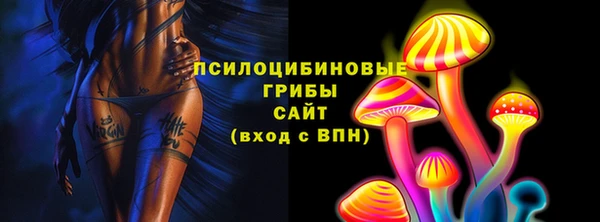 соль ск Арсеньев