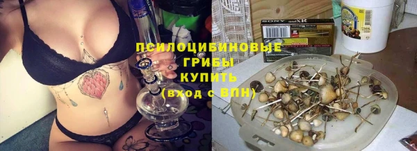 дмт Армянск