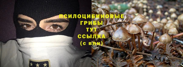 дмт Армянск