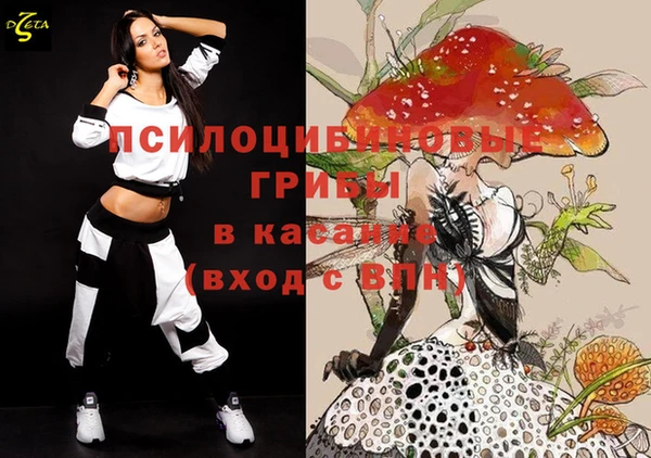 дмт Армянск